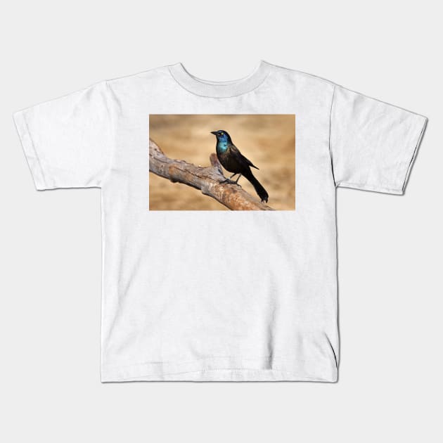 Grackle Kids T-Shirt by Jim Cumming